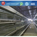 Best Sale Layer Cage for Big Farm to Use